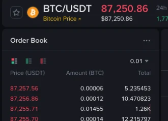 Top-left of the Binance Spot page in English: under the BTC/USDT pair, the order book columns read Price (USDT), Amount (BTC) and Total
